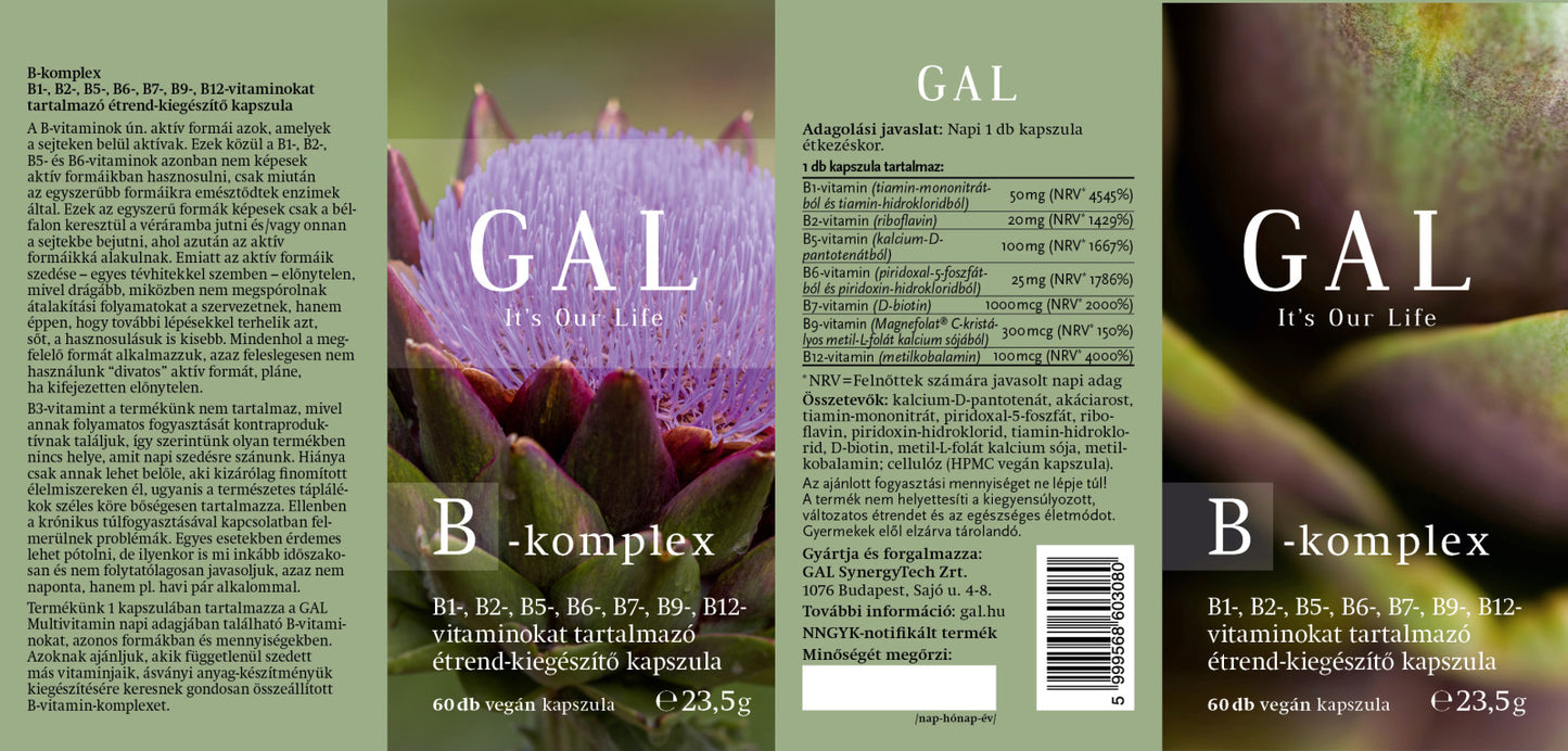 GAL B-komplex
